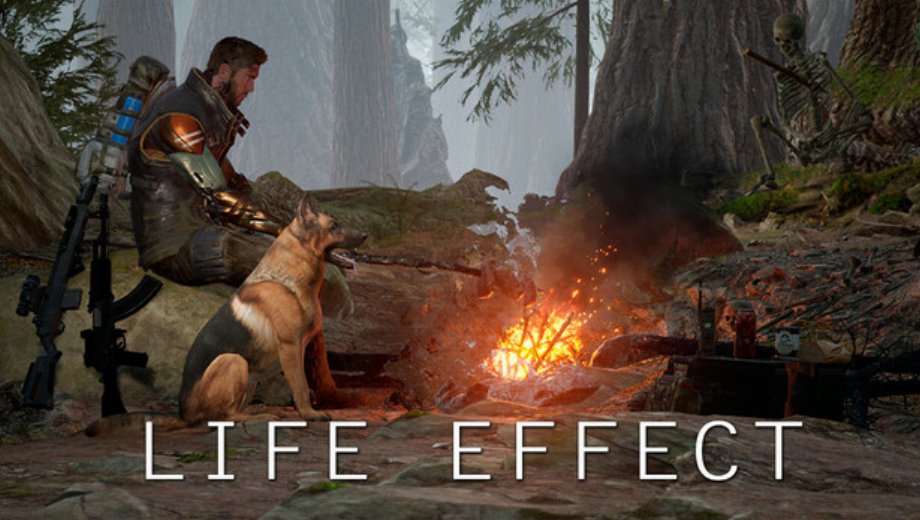 Life Effect v0.0.13 (+5 Trainer)